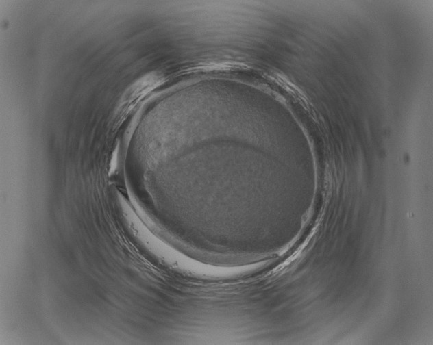X0000064741353200602101137