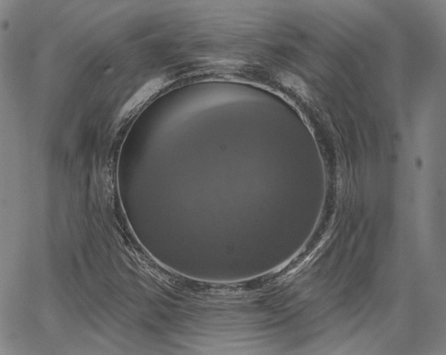 X0000064741354200602101137