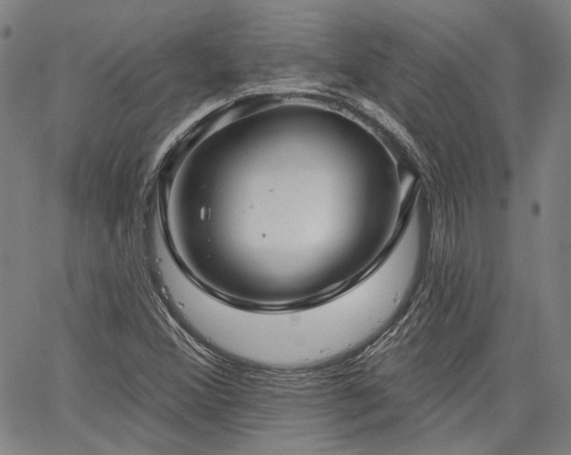X0000064741356200602101137