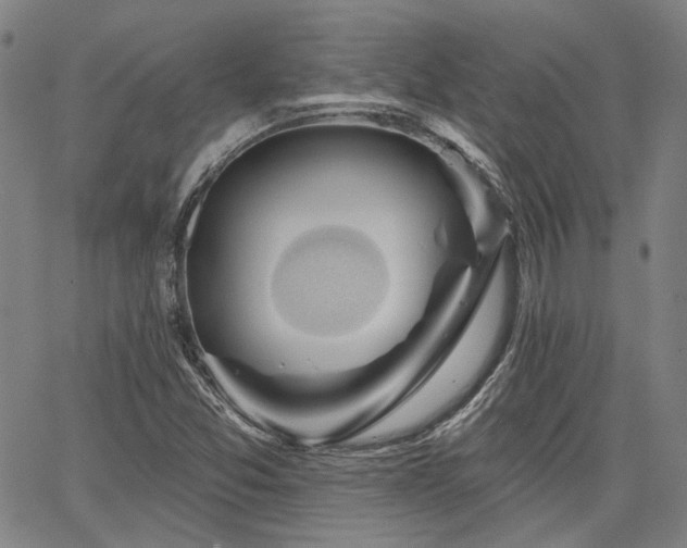 X0000064741357200602101137