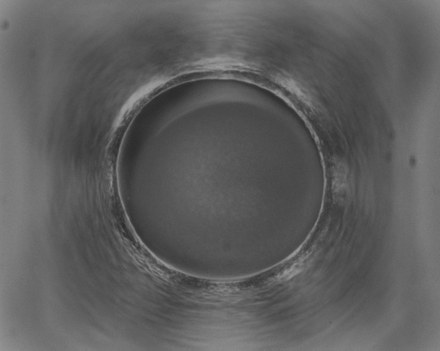 X0000064741358200602101137