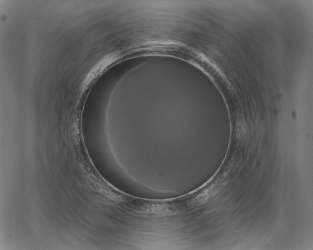 X0000064741362200602101137