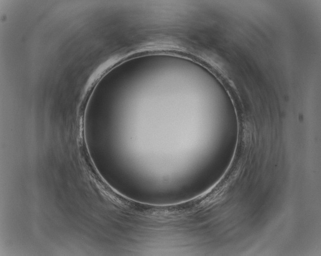 X0000064741366200602101137