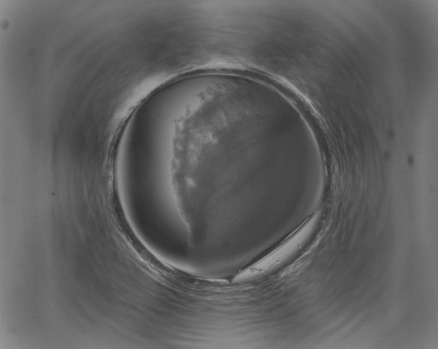 X0000064741367200602101137