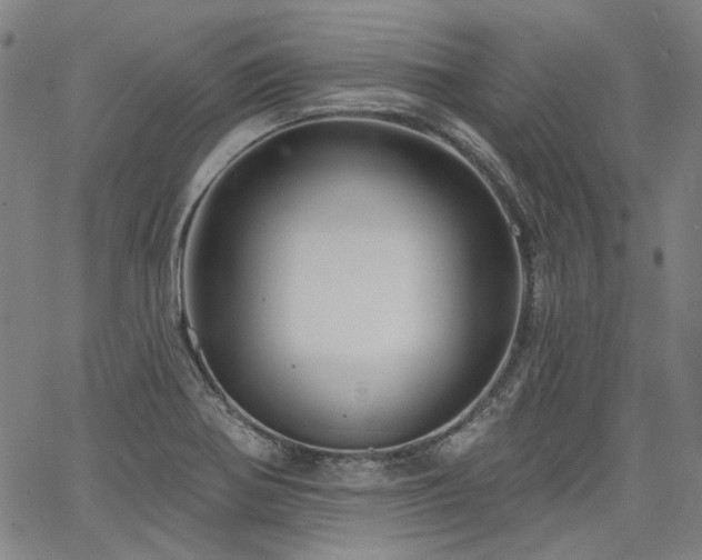 X0000064741370200602101137