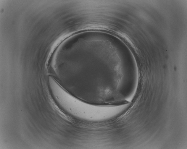 X0000064741371200602101137