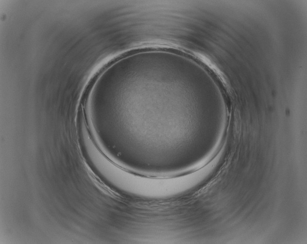 X0000064741372200602101137