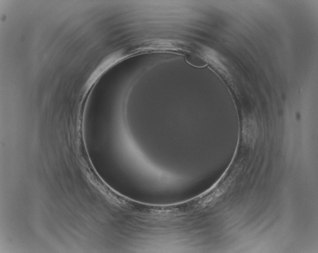 X0000064741378200602101137