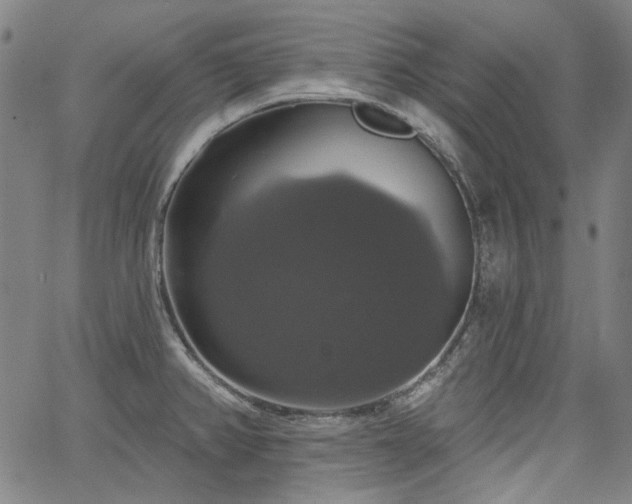 X0000064741382200602101137
