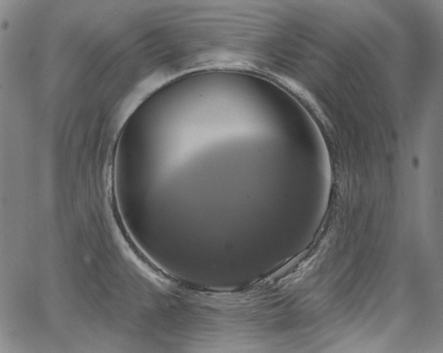 X0000064741383200602101137