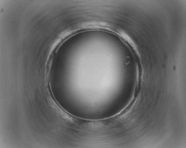 X0000064741384200602101137