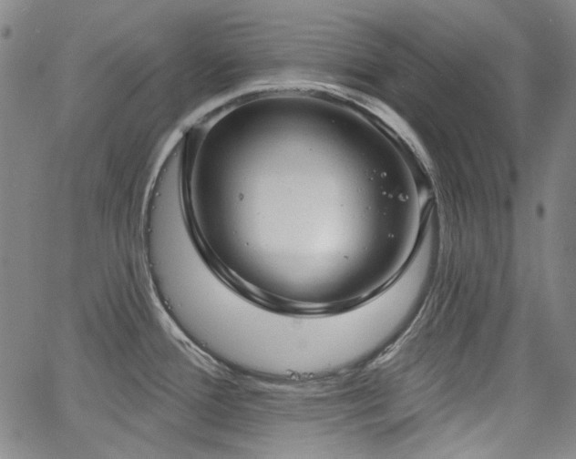 X0000064741388200602101137