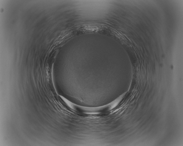 X0000064741394200602101136