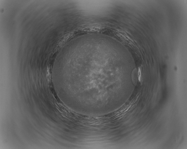X0000064741395200602101136