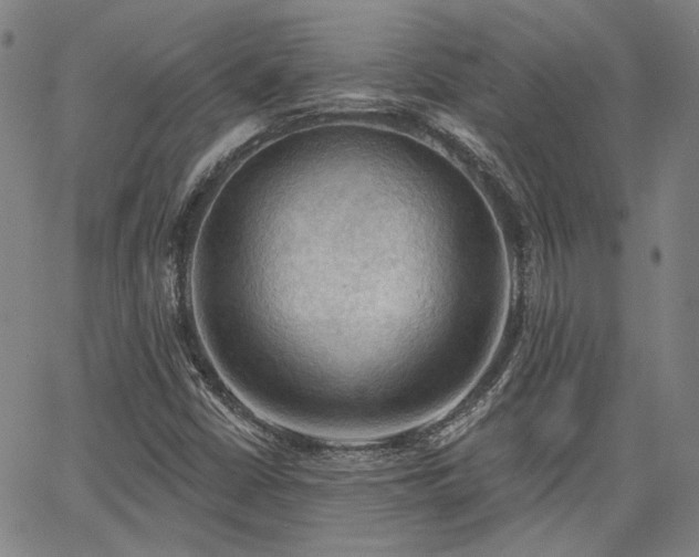 X0000064741402200602101136