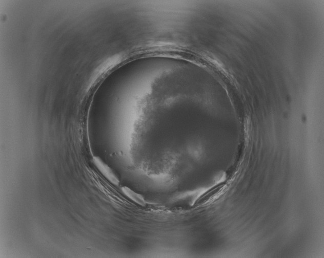 X0000064741405200602101136