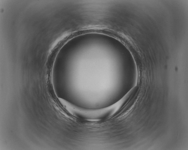 X0000064741406200602101136