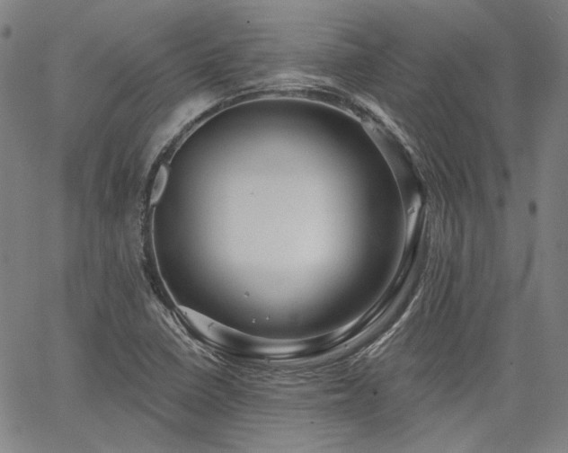 X0000064741410200602101136