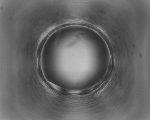 X0000064741414200602101136