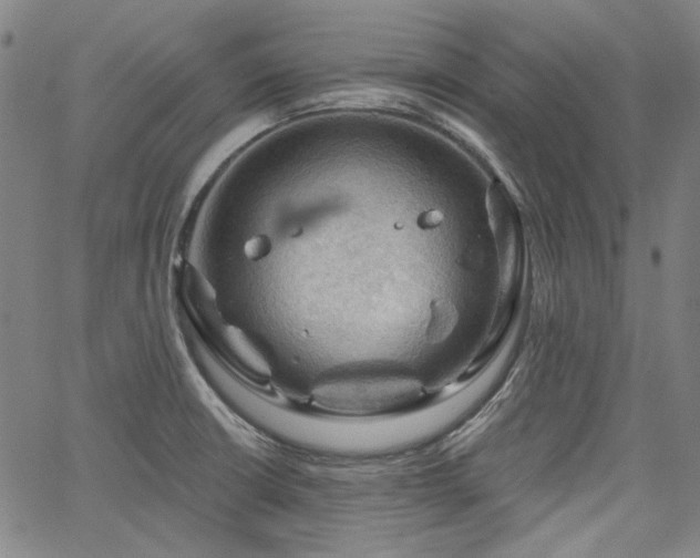 X0000064741426200602101136