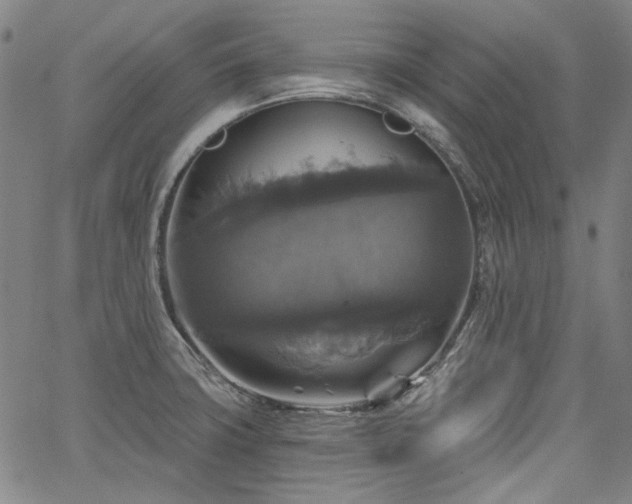 X0000064741427200602101136
