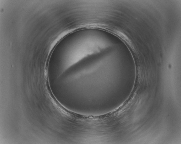 X0000064741428200602101136
