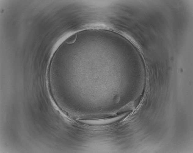 X0000064741440200602101136