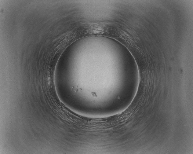 X0000064741442200602101136