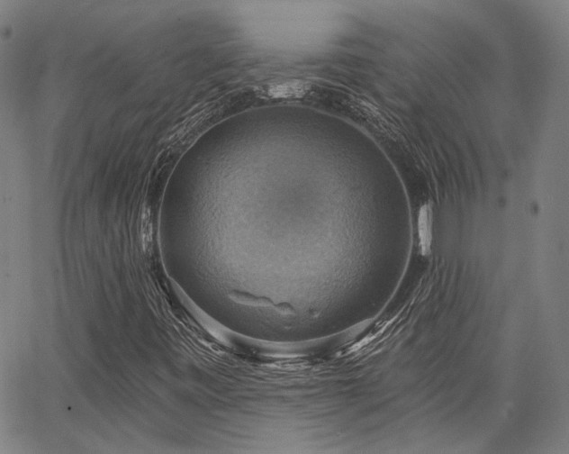 X0000064741443200602101136