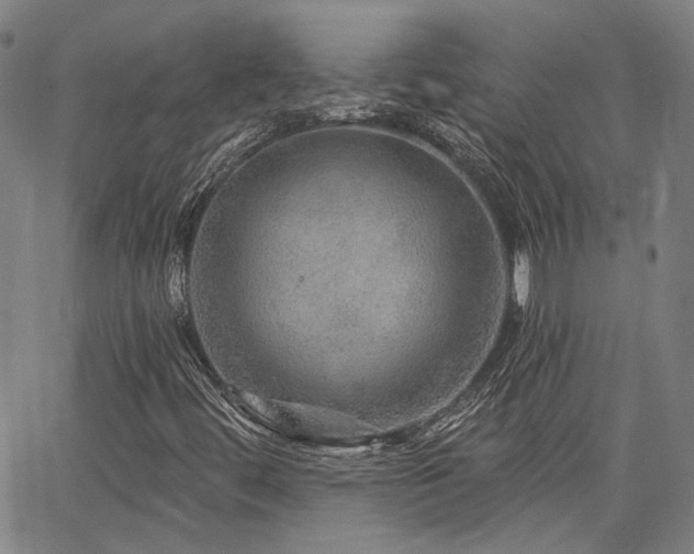 X0000064741444200602101136