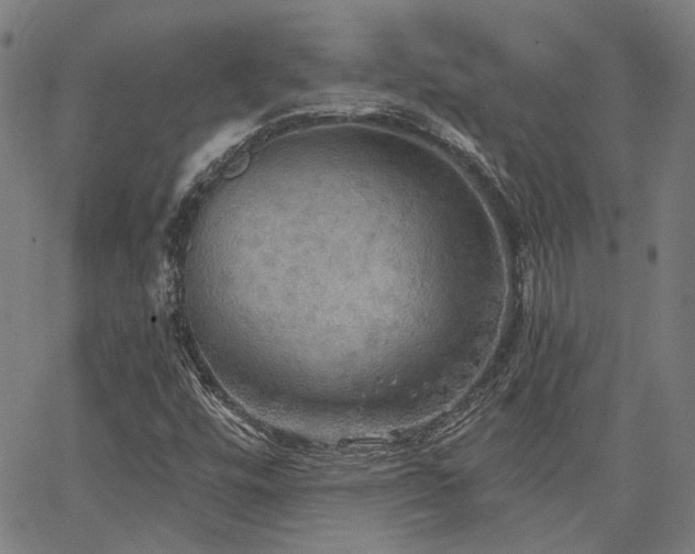X0000064741448200602101136