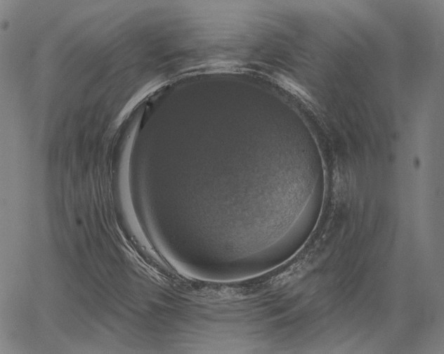 X0000064741450200602101136