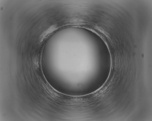 X0000064741451200602101136