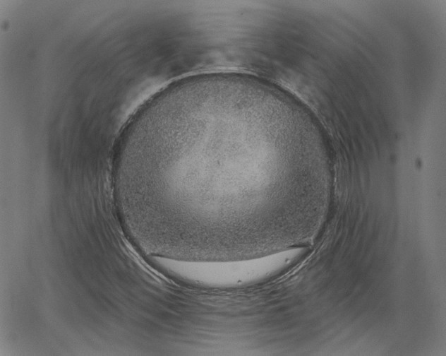 X0000064741452200602101136