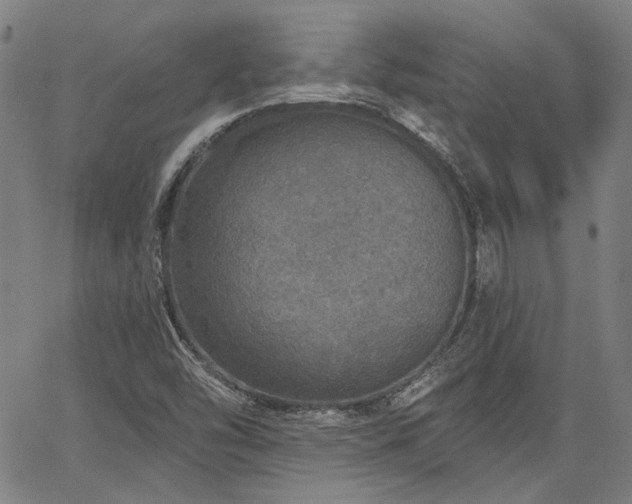 X0000064741454200602101135