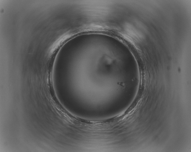 X0000064741455200602101135