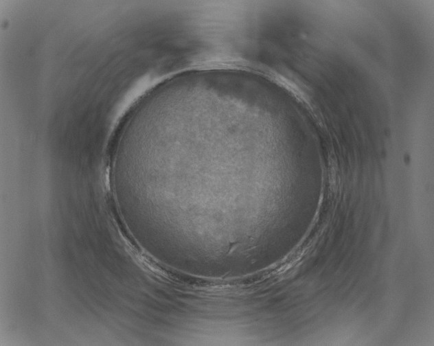 X0000064741462200602101135