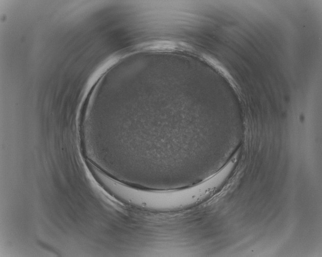 X0000064741475200602101135