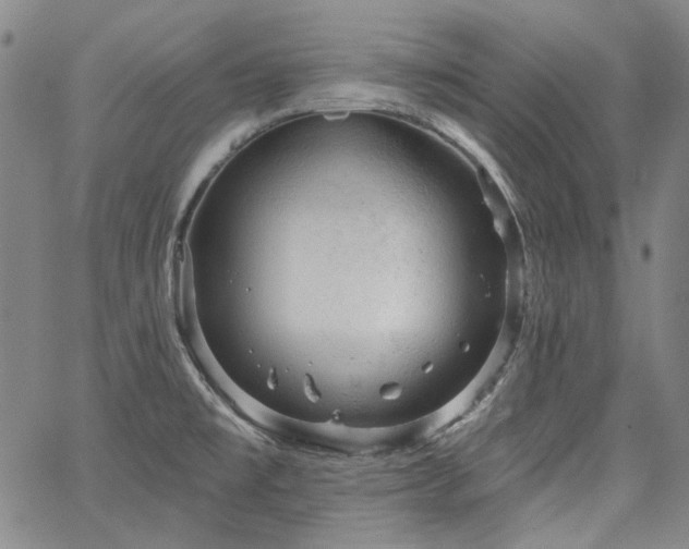 X0000064741477200602101135