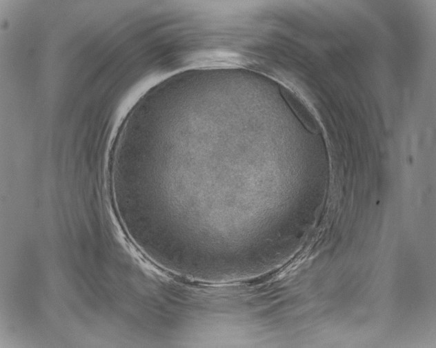 X0000064741488200602101135