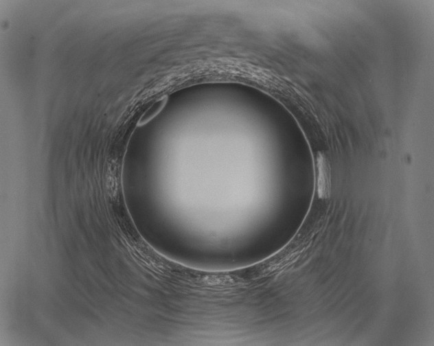 X0000064741491200602101134