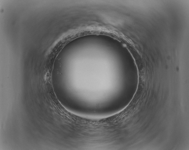 X0000064741495200602101134