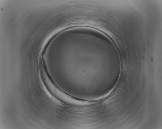 X0000064741515200602101135