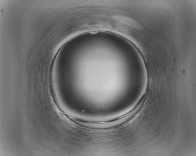 X0000064741534200602101135