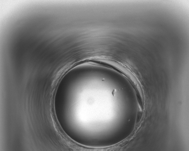 X0000064740001200602131328