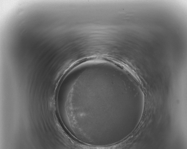 X0000064740002200602131328