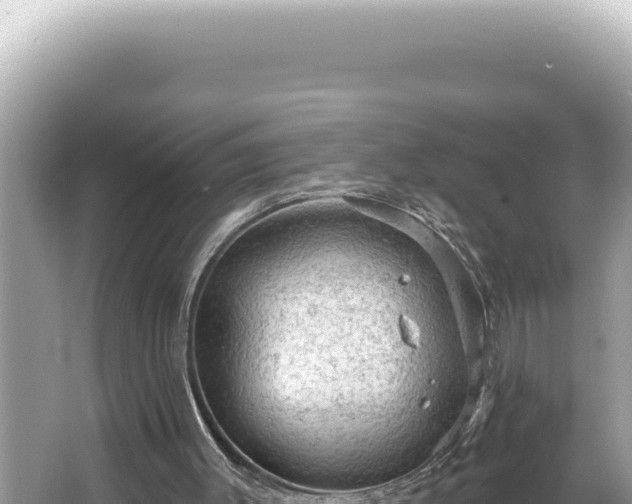 X0000064740003200602131328