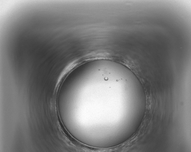 X0000064740004200602131328