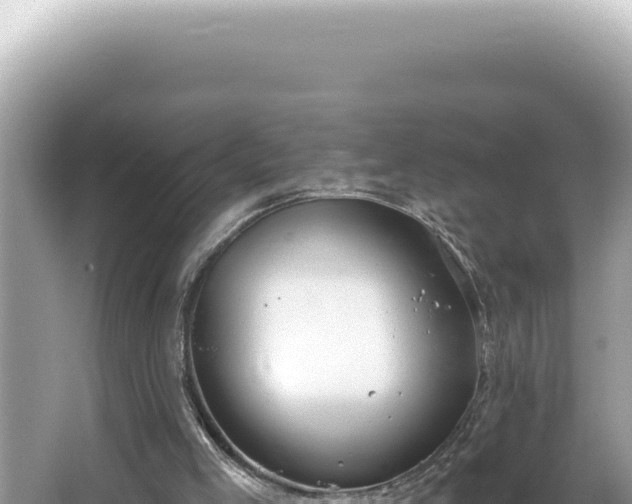 X0000064740005200602131328