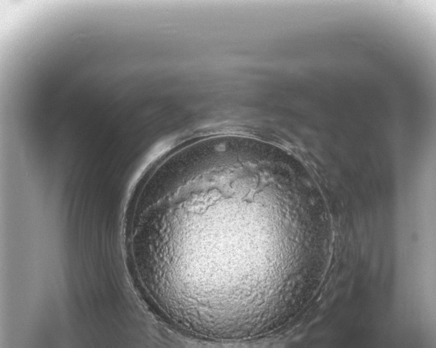 X0000064740006200602131328